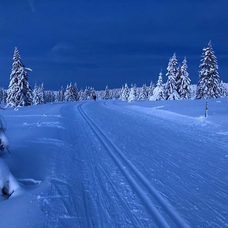 Mountain View Apartment With Sauna Нордсетер Экстерьер фото